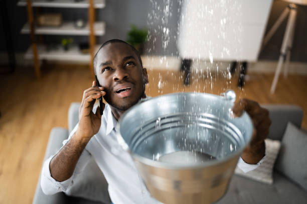 Best Carpet water damage restoration  in Washington Terrace, UT