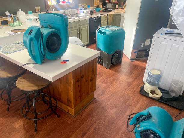 Best Flood damage cleanup  in Washington Terrace, UT