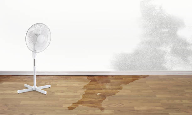 Best Water damage restoration near me  in Washington Terrace, UT