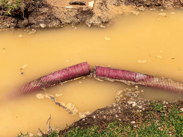 Trusted UT Water damage restoration Experts