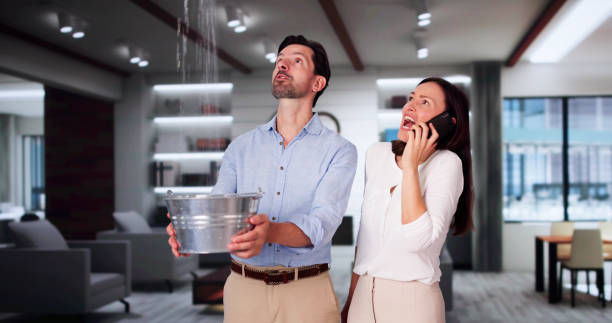 Best Water damage restoration specialists  in Washington Terrace, UT