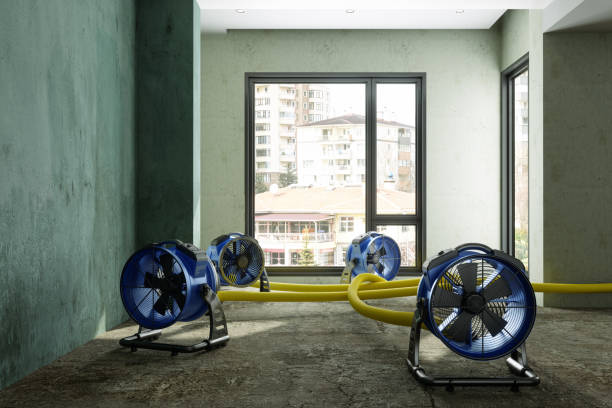 Best 24/7 water damage repair  in Washington Terrace, UT